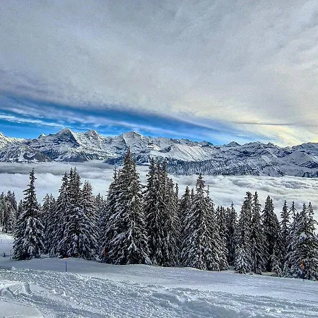 Lilo New Appartement *