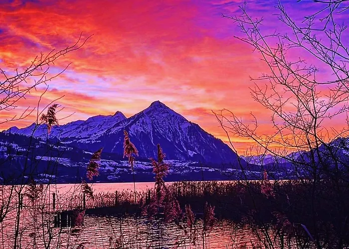 Lilo'S One-Room Apartment * ביטנברג