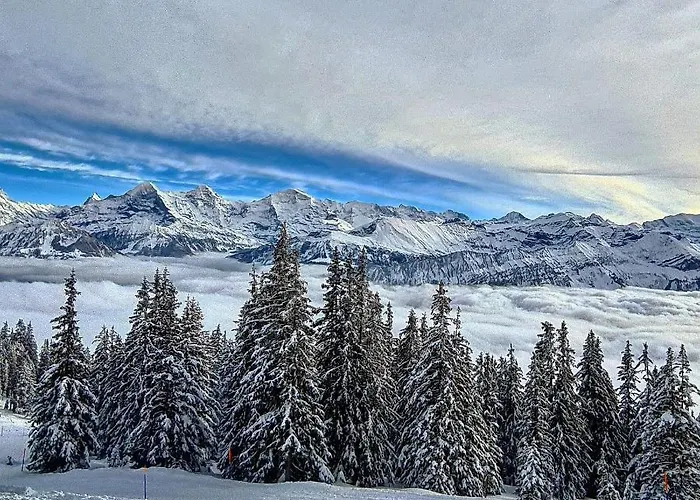 Lilo New Appartamento *