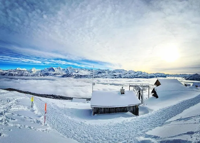 Lilo'S One-Room Apartment *